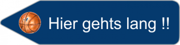 Pfeil Schild links - 43 x 12cm